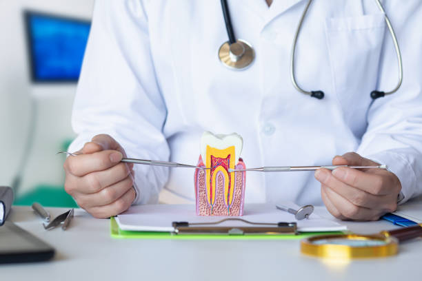 Best Emergency Dental Services for Seniors in Woodland, WA